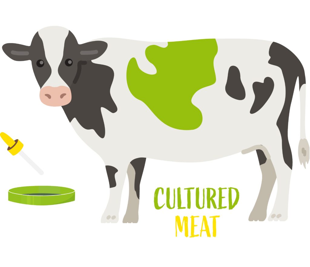 Beitragsbild Infografik Cultured Meat