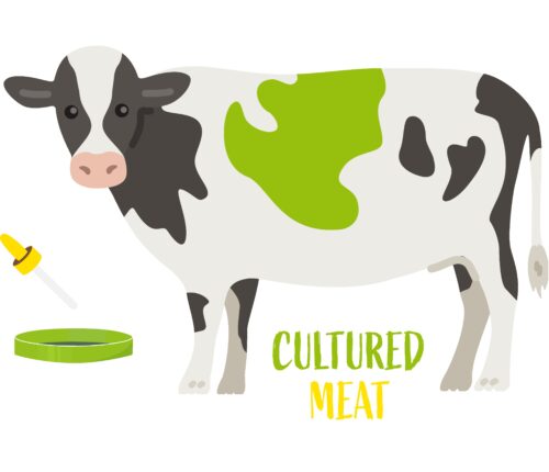 Beitragsbild Infografik Cultured Meat