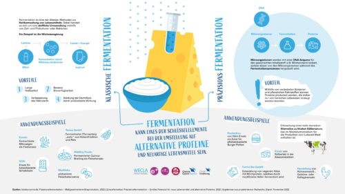 Infografik Fermentation Bild